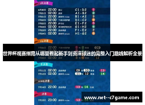 世界杯观赛指南从哪里看起新手到资深球迷的完整入门路线解析全景