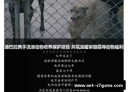 迪巴拉携手流浪动物收养保护项目 共筑温暖家园倡导动物福利 迪巴拉携手流浪动物收养保护项目 共筑温暖家园倡导动物福利