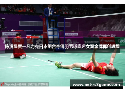 陈清晨贾一凡力克日本组合夺得羽毛球奥运女双金牌再创辉煌 陈清晨贾一凡力克日本组合夺得羽毛球奥运女双金牌再创辉煌